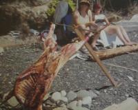 lamb roast