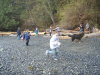 Egg Hunt Running